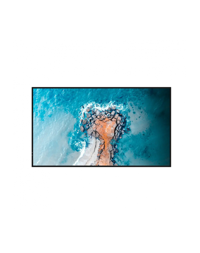 hisense Monitor LFD 32DM66D 32 cale Full HD Digital Signage Display 24/7 główny