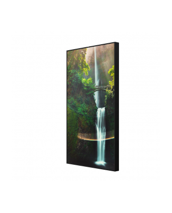 hisense Monitor 55WH80F 55 '' 4K ADS Window Facing Display 24/7