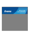 iiyama Monitor 24 cale XB2495WSU-B1  IPS,16:10,350cd,4ms,HDMI, 100Hz,1500:1, 4xUSB,2x2W,HAS150 (PIVOT) - nr 47