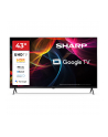 Sharp 43HL4265E czarny - nr 8