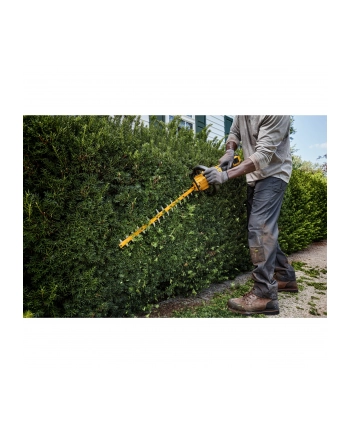 DeWalt DCMHT573X1-QW Cordless Hedgecutter