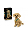 LEGO 11384 Icons - Szczeniak golden retriever - nr 1