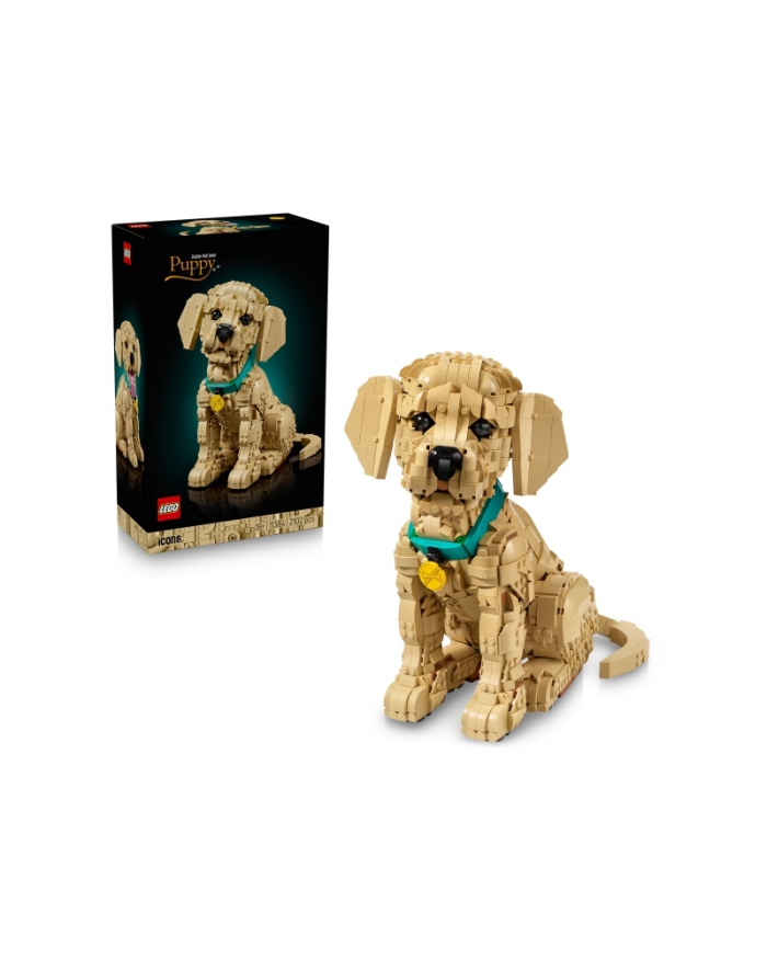 LEGO 11384 Icons - Szczeniak golden retriever główny