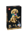 LEGO 11384 Icons - Szczeniak golden retriever - nr 3