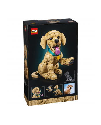 LEGO 11384 Icons - Szczeniak golden retriever