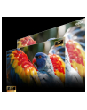 PROJEKTOR HISENSE C3 LASER 4K - nr 7