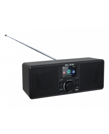 blow Radio sieciowe internetowe RI2
