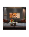 Telewizor 48''; LG OLED48C54LA - nr 3