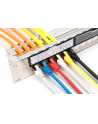 Digitus Modular Galvanized Patch Panel, shielded, 24-port blank, 1U, Rack Mount, transp. label field, Silver - nr 3