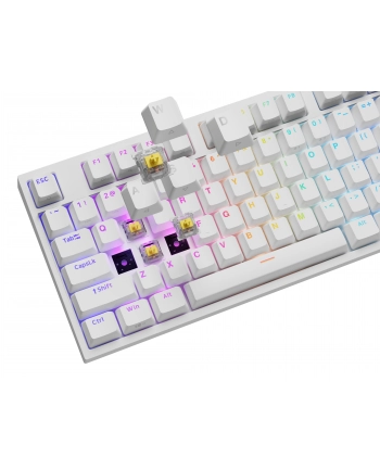 Genesis Thor 404 biała RGB Gateron Yellow Pro klawiatura mechaniczna | Qwerty | USB | 11 klawiszy multimedialnych | podświetlenie RGB | Gateron Yellow Pro | Hot-Swap | biała