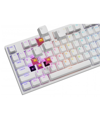 Genesis Thor 404 biała RGB Outemu Peach Silent klawiatura mechaniczna | Qwerty | USB | 11 klawiszy multimedialnych | Outemu Peach Silent | Hot-Swap | biała