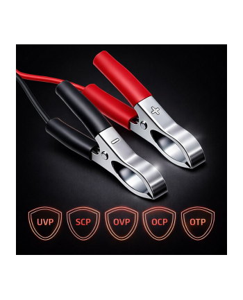 qoltec Ładowarka do akumulatora AGM GEL STD | Prostownik 24V | 2A | 48W | LED | Kabel 1.8m