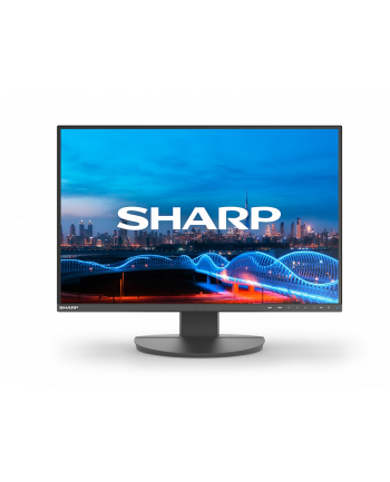 sharp Monitor biznesowy MultiSync DD-EA241W 24 cale Czarny
