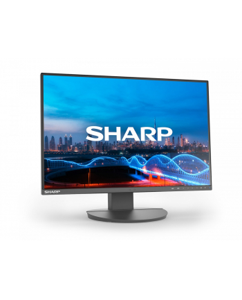 sharp Monitor biznesowy MultiSync DD-EA241W 24 cale Czarny