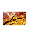 sharp Monitor MultiSync M322 32 cale 24/7 - nr 1