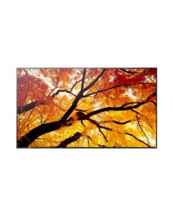 sharp Monitor MultiSync M322 32 cale 24/7