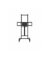 avtek Statyw elektryczny TS ELECTRIC STAND LIGHT - nr 6