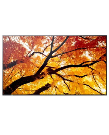 sharp Monitor wielkoformatowy MultiSync M502 50 '' 550cd/m2 24/7