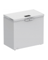 whirlpool Zamrażarka skrzyniowa W3RHS19EW1 - nr 5