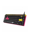 asus Klawiatura ROG Falchion Ace HFX M606 USB-C-A/8000Hz/N Key - nr 12