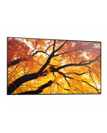 sharp Monitor M652 65 '' 24/7 550cd/m2