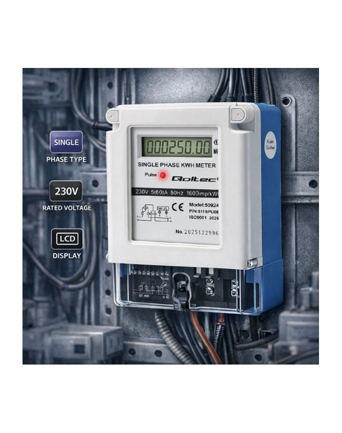 qoltec Jednofazowy miernik zużycia energii | 230V | 5(60)A | LCD główny