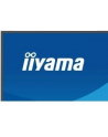 iiyama Monitor  27 '' XB2797QSNP-W1 IPS,QHD,USB-c Dock 96W,HDMI, 350cd,1ms, DP, DisplayPort x1 (Daisy Chain MST max. 2560 x1440), USB HUB x4, RJ45 - nr 63