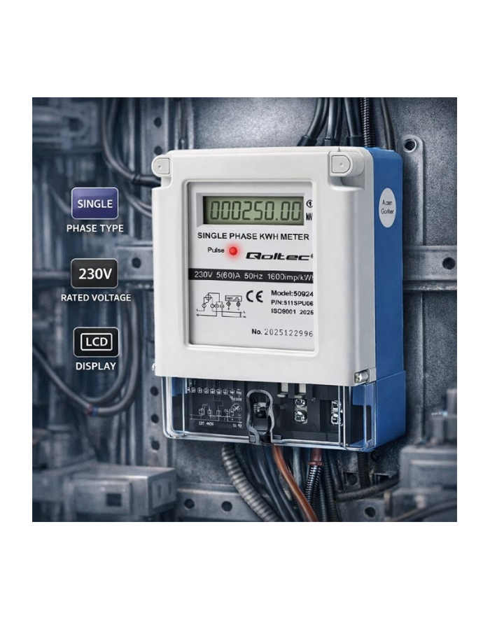 qoltec Jednofazowy miernik zużycia energii | 230V | 5(60)A | LCD główny