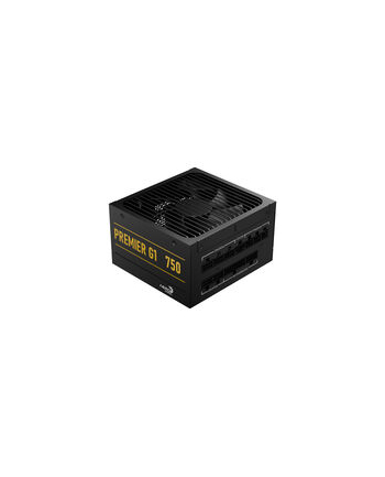 Aerocool Premier G1 80 PLUS Gold 750W (ACPGPR75FEC71)