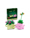 LEGO 11506 Botanicals - Bujające się roślinki - nr 1