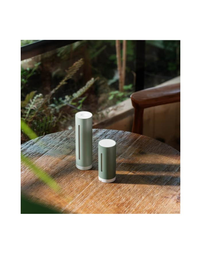 Stacja pogodowa Original Netatmo NWS-M Mint główny