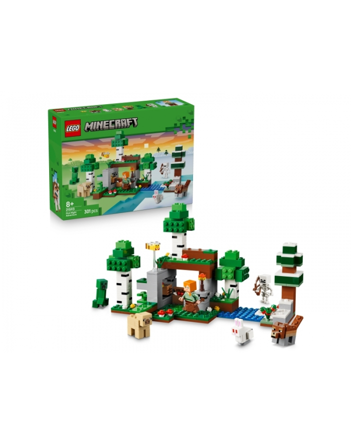 LEGO Minecraft 21593 - Przetrwanie pierwszej nocy główny