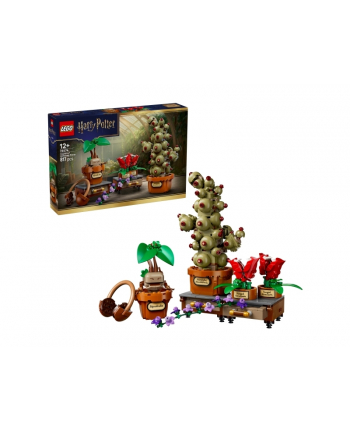 LEGO Harry Potter 76474 - Rośliny z lekcji zielarstwa w Hogwarcie nr 1