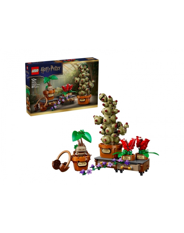LEGO Harry Potter 76474 - Rośliny z lekcji zielarstwa w Hogwarcie główny