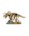 LEGO Jurassic World 77985 - Szkielety dinozaurów: Triceratops - nr 4
