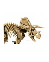 LEGO Jurassic World 77985 - Szkielety dinozaurów: Triceratops - nr 5