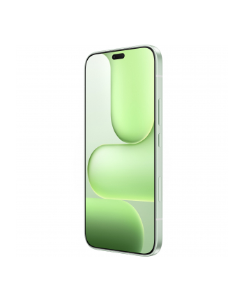 Honor 600 Lite 8/256GB DS 5G Sprout Green nr 2