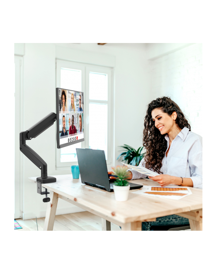 ERGONOMIC MONITOR MOUNT MOUNT główny