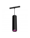 PHILIPS HUE Cylindryczna oprawa wisząca Perifo czarny (929003115901) - nr 7