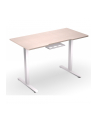 ENDORFY Atlas S Electric Biurko Elektryczne Light Wood (EY8E009) - nr 4