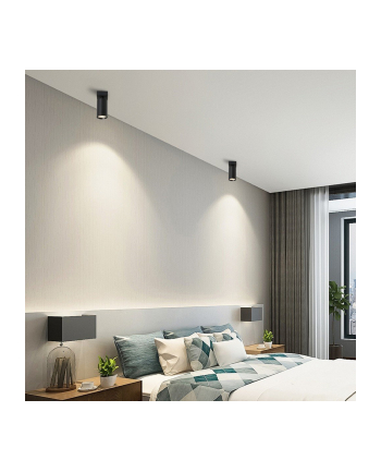 IMMAX Lampa Sufitowa punkt czarna (1806417)