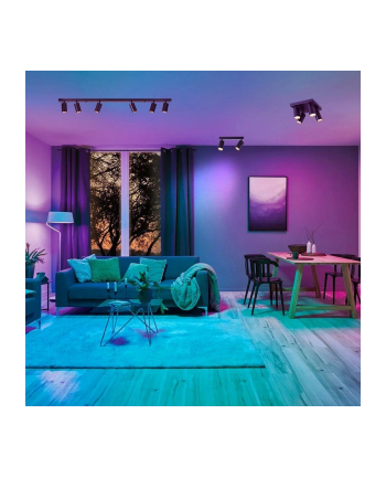 IMMAX Lampa Sufitowa punkt czarna 2-punktowa (1806432)