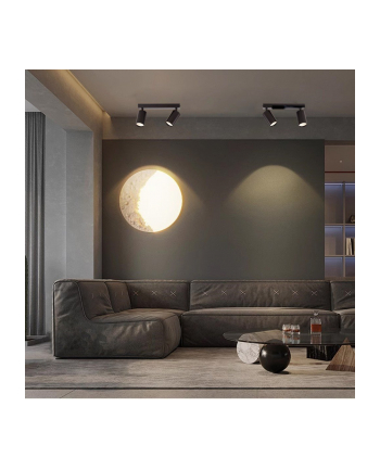 IMMAX Lampa Sufitowa punkt czarna 2-punktowa (1806432)