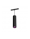 PHILIPS HUE Cylindryczna oprawa wisząca Perifo czarny (929003115901) - nr 13