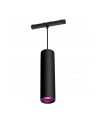 PHILIPS HUE Cylindryczna oprawa wisząca Perifo czarny (929003115901) - nr 1