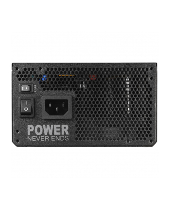 Fsp/Fortron MEGA-1000GM 1000W 80+ Gold ATX 3.1 (PPA10A4501)