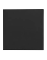 Thermal Grizzly TG Minus Pad Extreme V2 - 100x 100x 2,0 mm (4260711992186) - nr 12