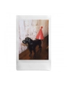 fujifilm Aparat Instax mini 13 green - nr 11