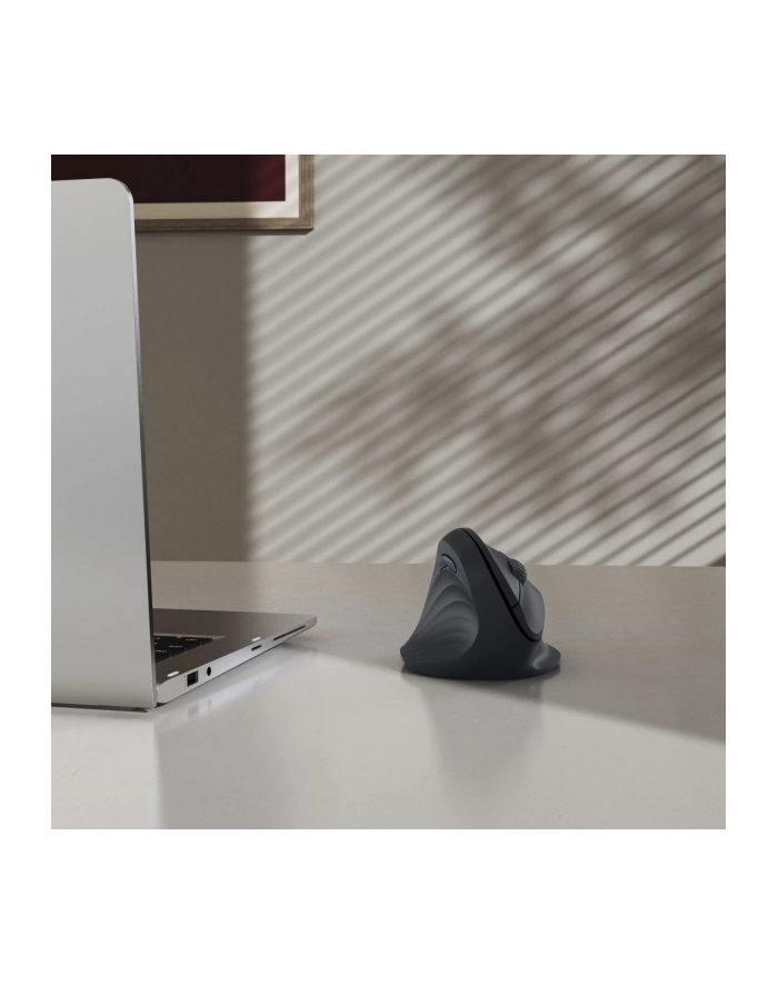 hama Mysz ergonomiczna EWM-500 dla leworęcznych główny