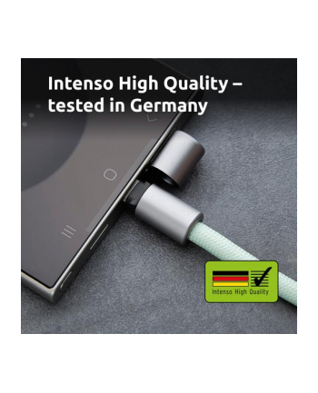 Intenso Cable Usb C To 1 65M Lanyard Green 7991007